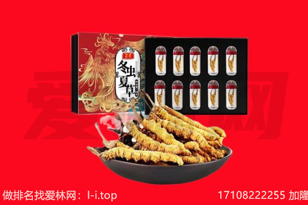 八公山区回收虫草.jpg